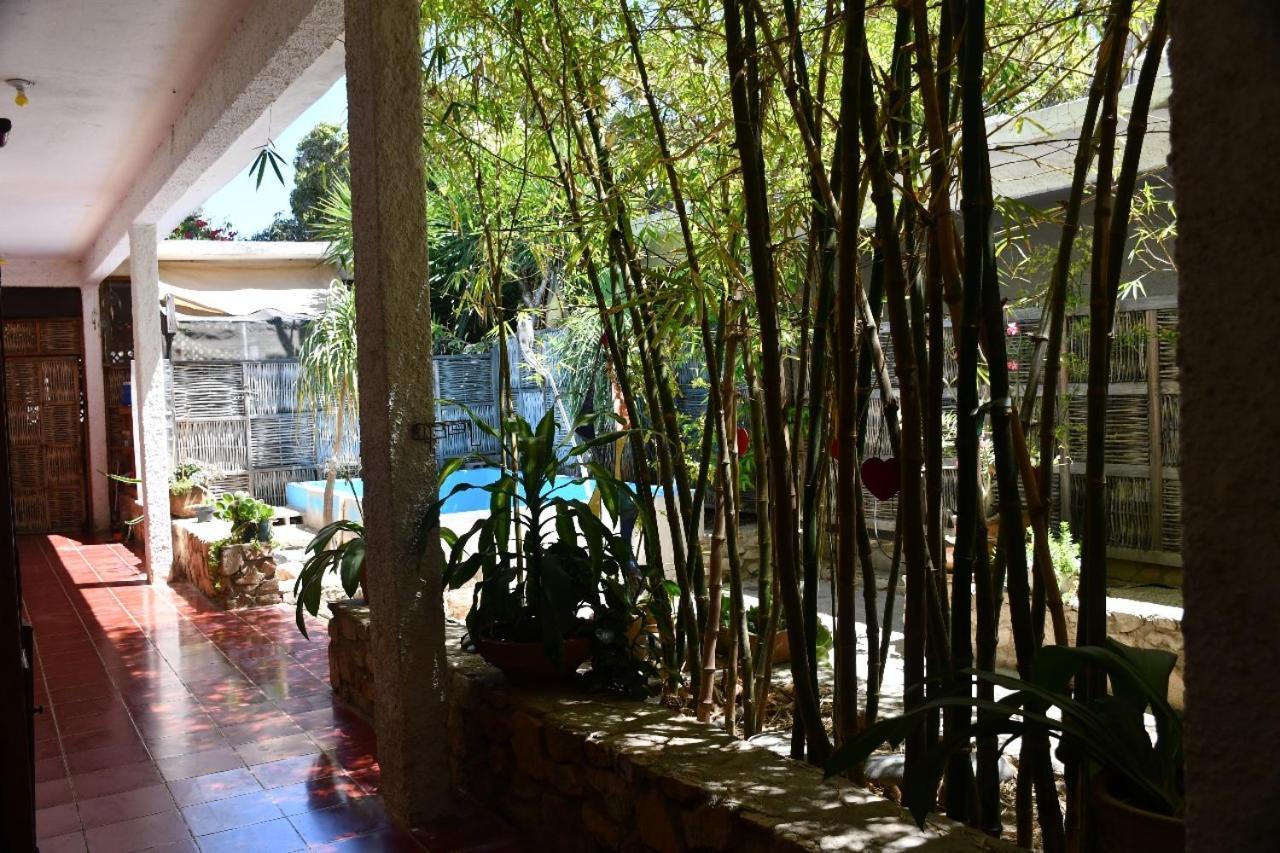 La Playita Hostal San José del Cabo Екстериор снимка