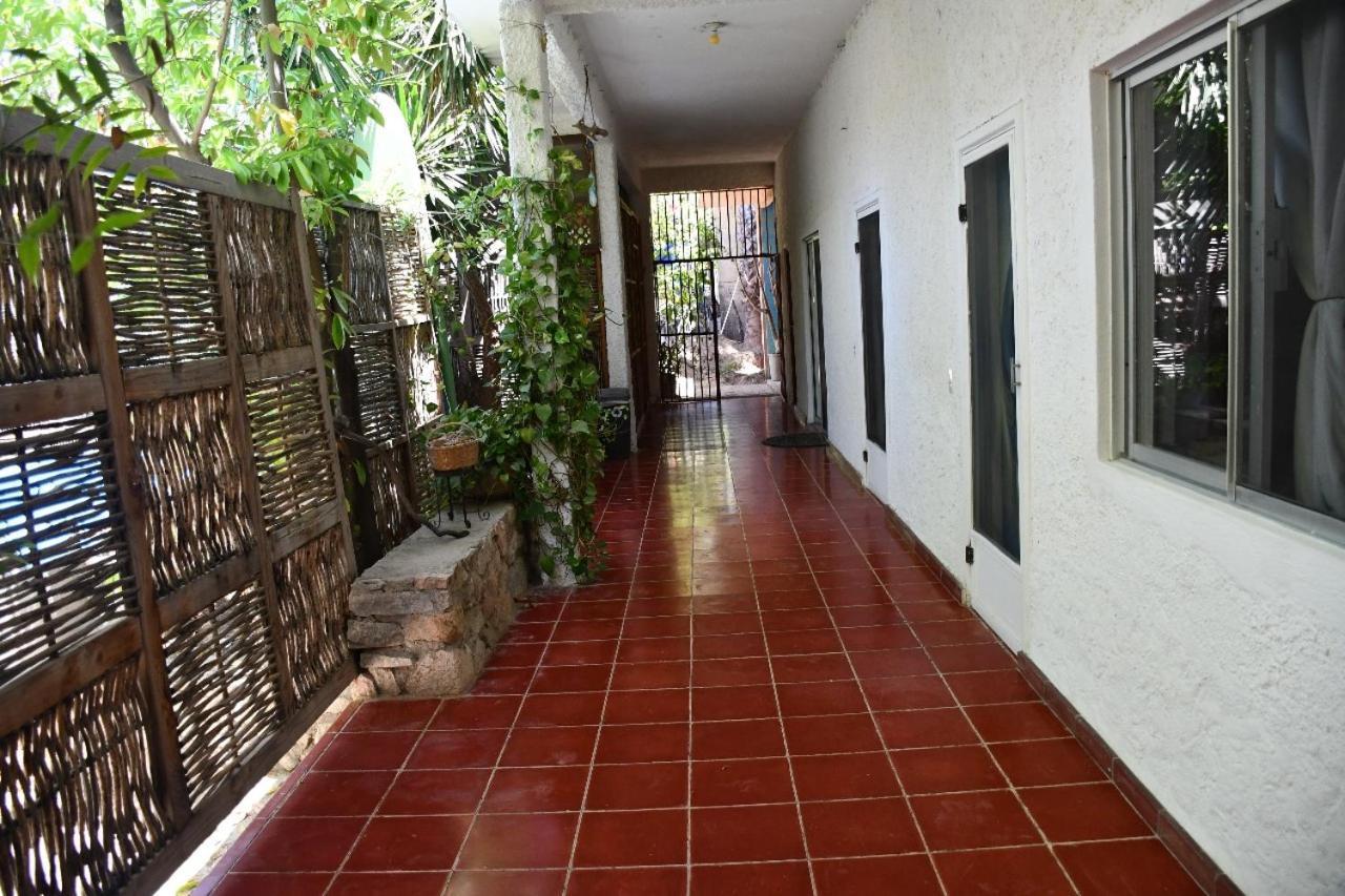 La Playita Hostal San José del Cabo Екстериор снимка