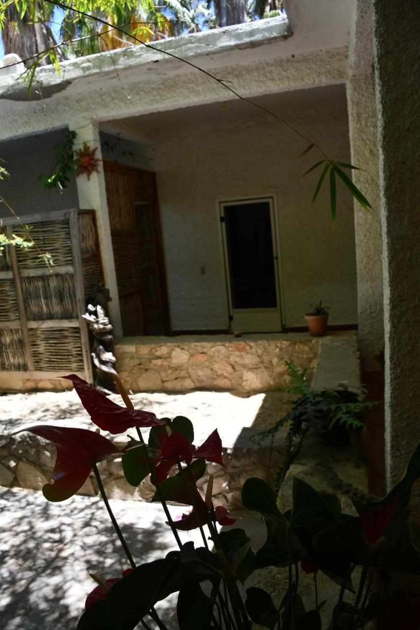 La Playita Hostal San José del Cabo Екстериор снимка