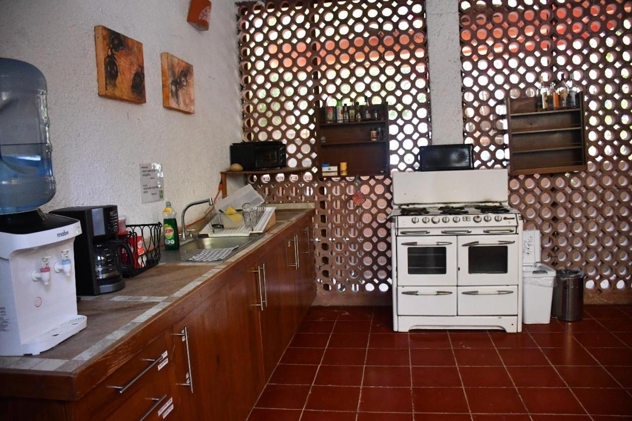 La Playita Hostal San José del Cabo Екстериор снимка