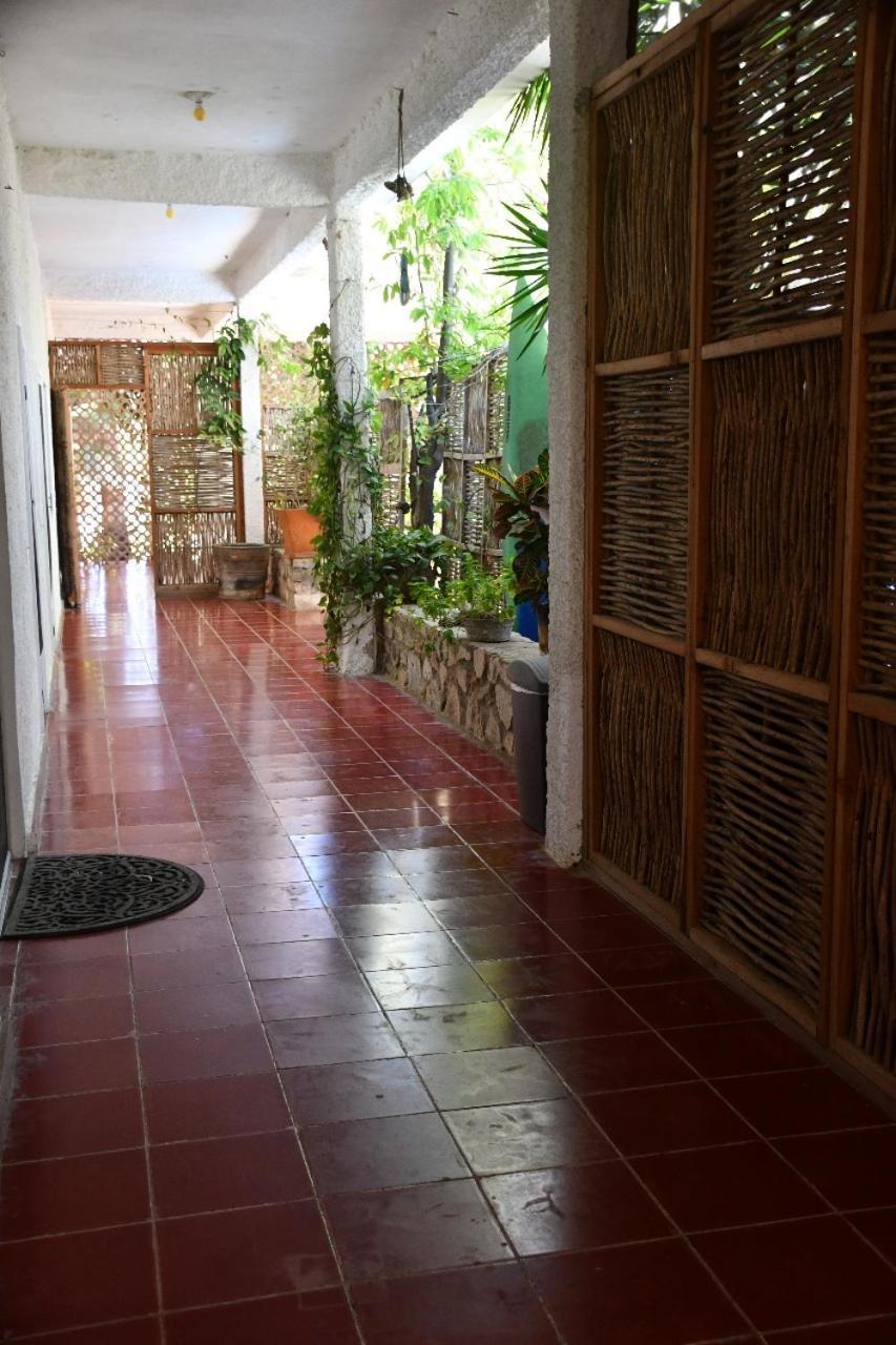 La Playita Hostal San José del Cabo Екстериор снимка